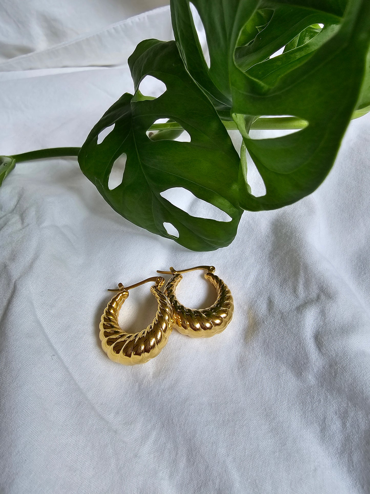 Sophia Twist Hoop Earrings